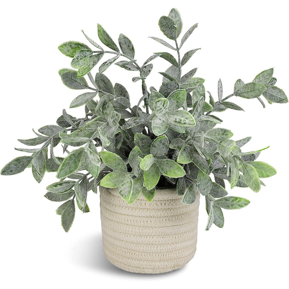 Braided Rope Planter for a Soft, Natural Bathroom Accent